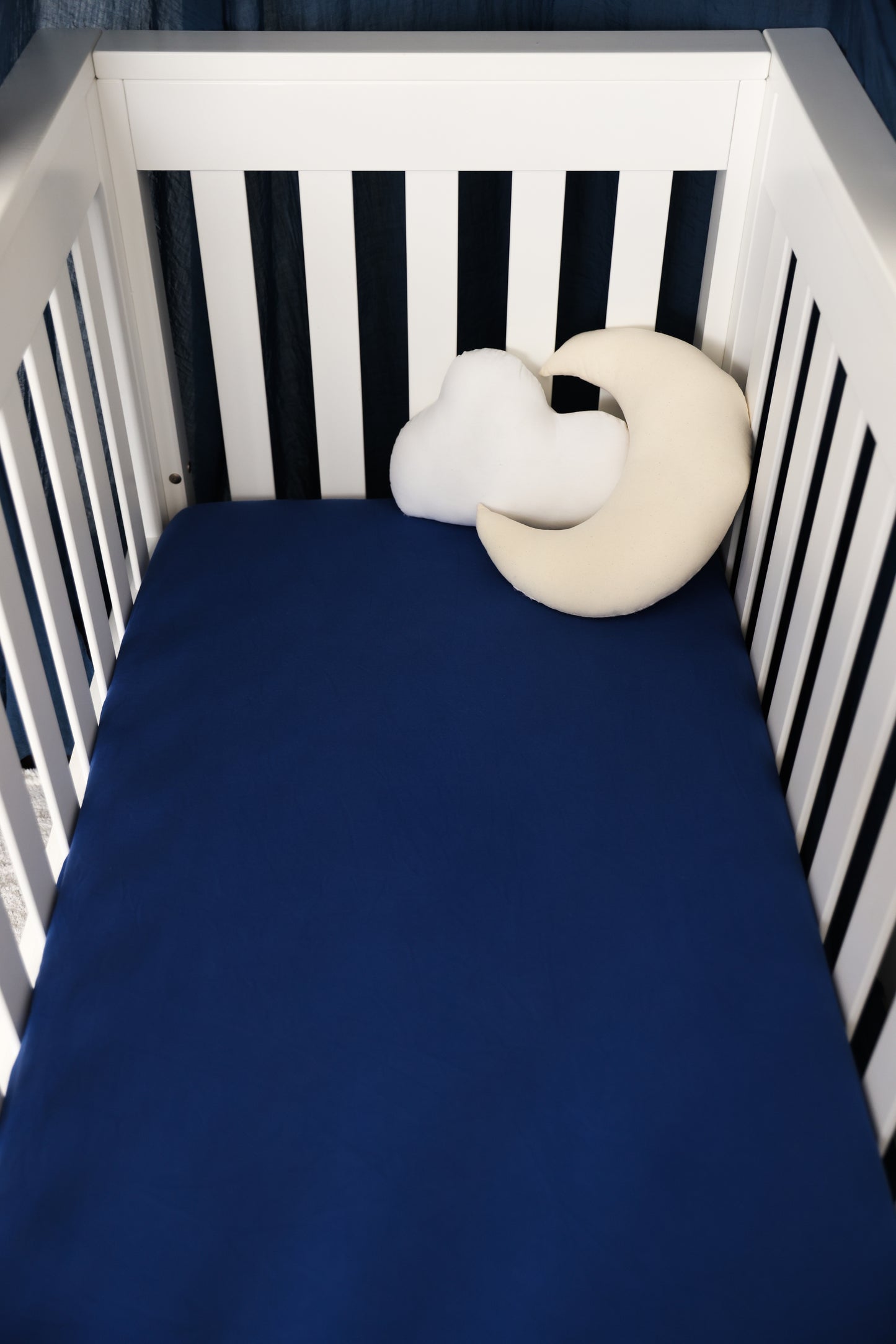 Jersey Cotton Fitted Cot Sheet - Sapphire