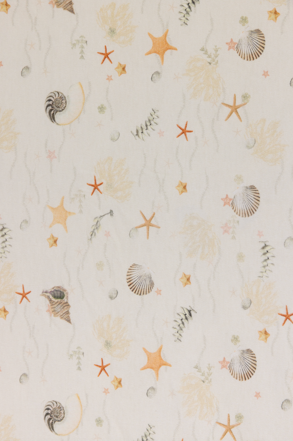 Jersey Cotton Fitted Cot Sheet - Sea Shells