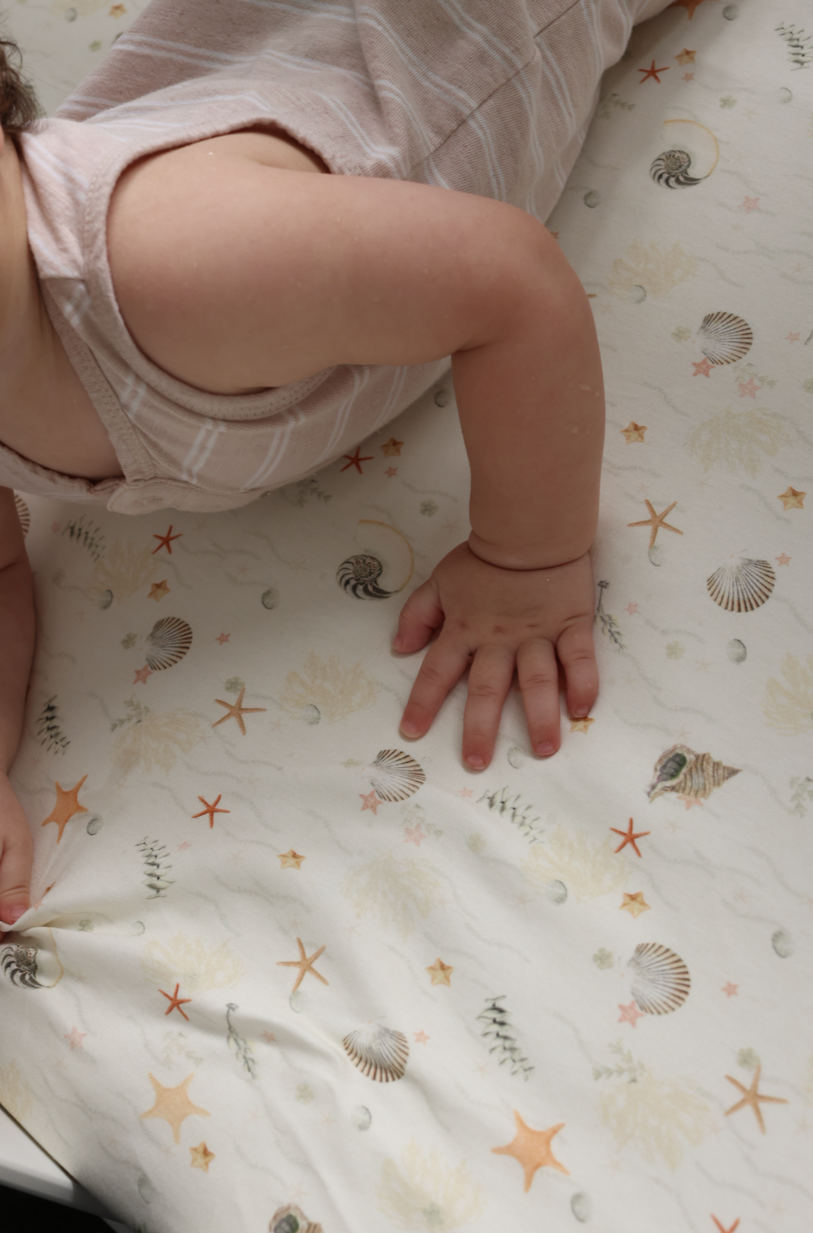 Jersey Cotton Fitted Cot Sheet - Sea Shells