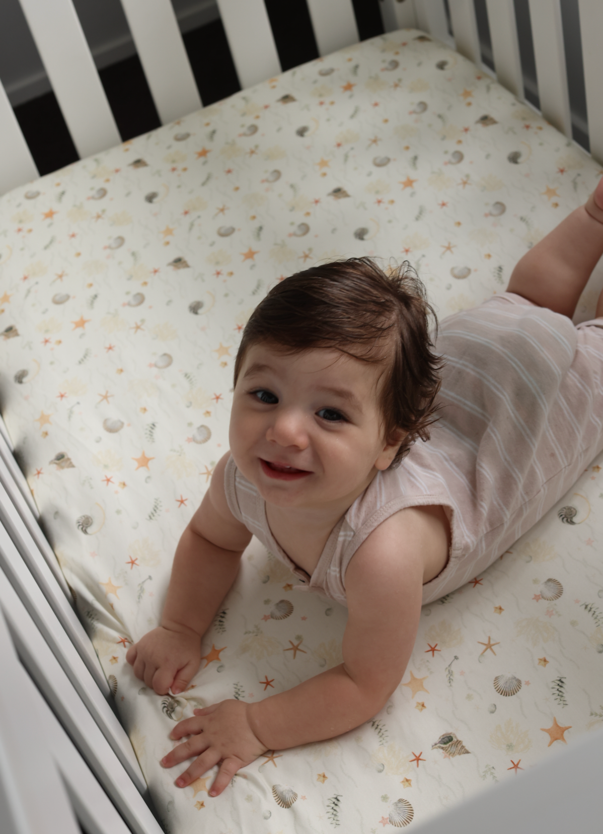 Jersey Cotton Fitted Cot Sheet - Sea Shells
